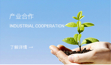這是描述信息